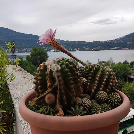 Apartment Terrazzo Sul