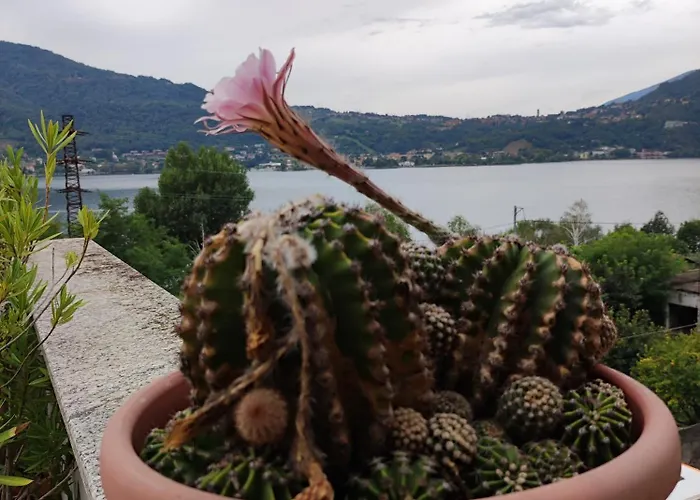 Apartmán Terrazzo Sul